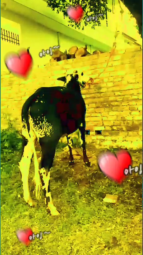 @waqas   Jhelum wala