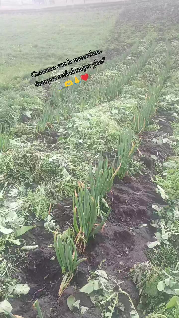 @🙏🕊️❤️