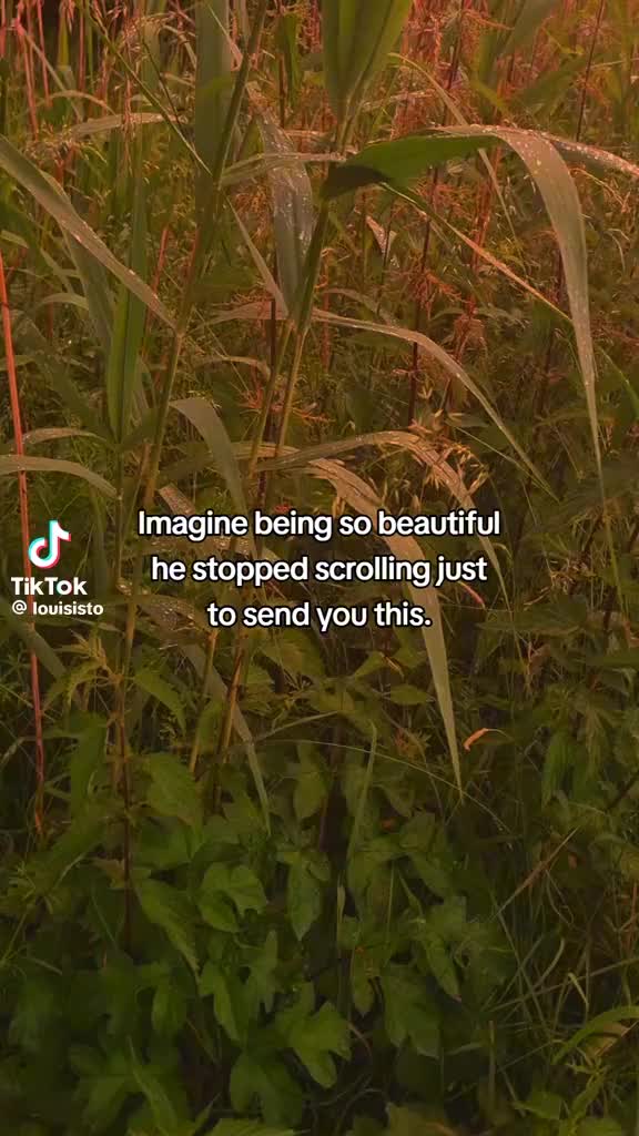 @Jayden