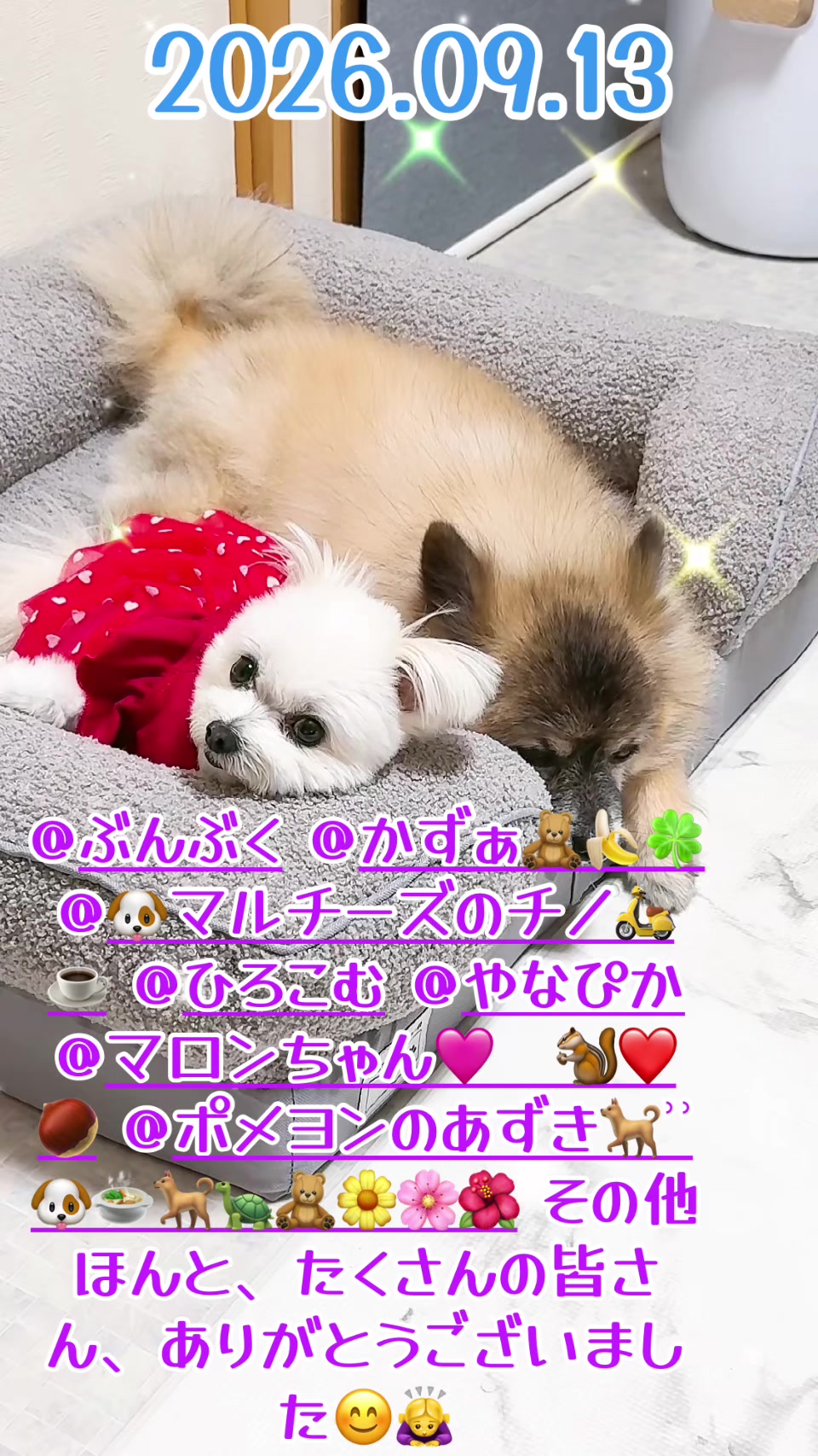 @まりん&レン/20269月21日1周年記念日💓