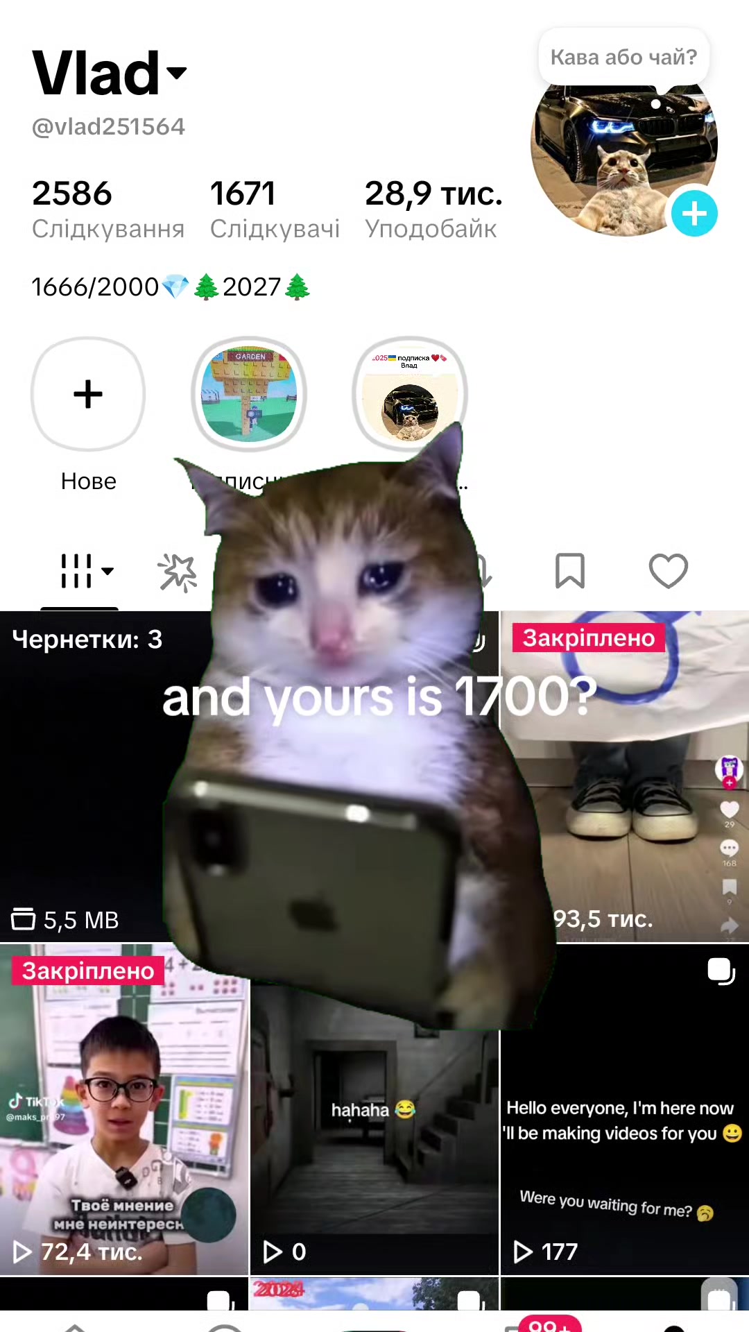 @Vlad