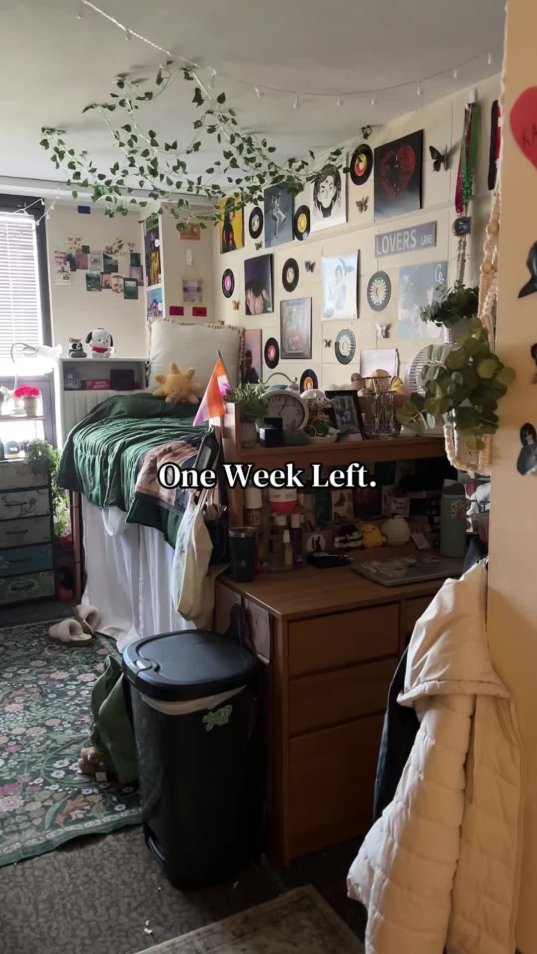 @_kaileyc