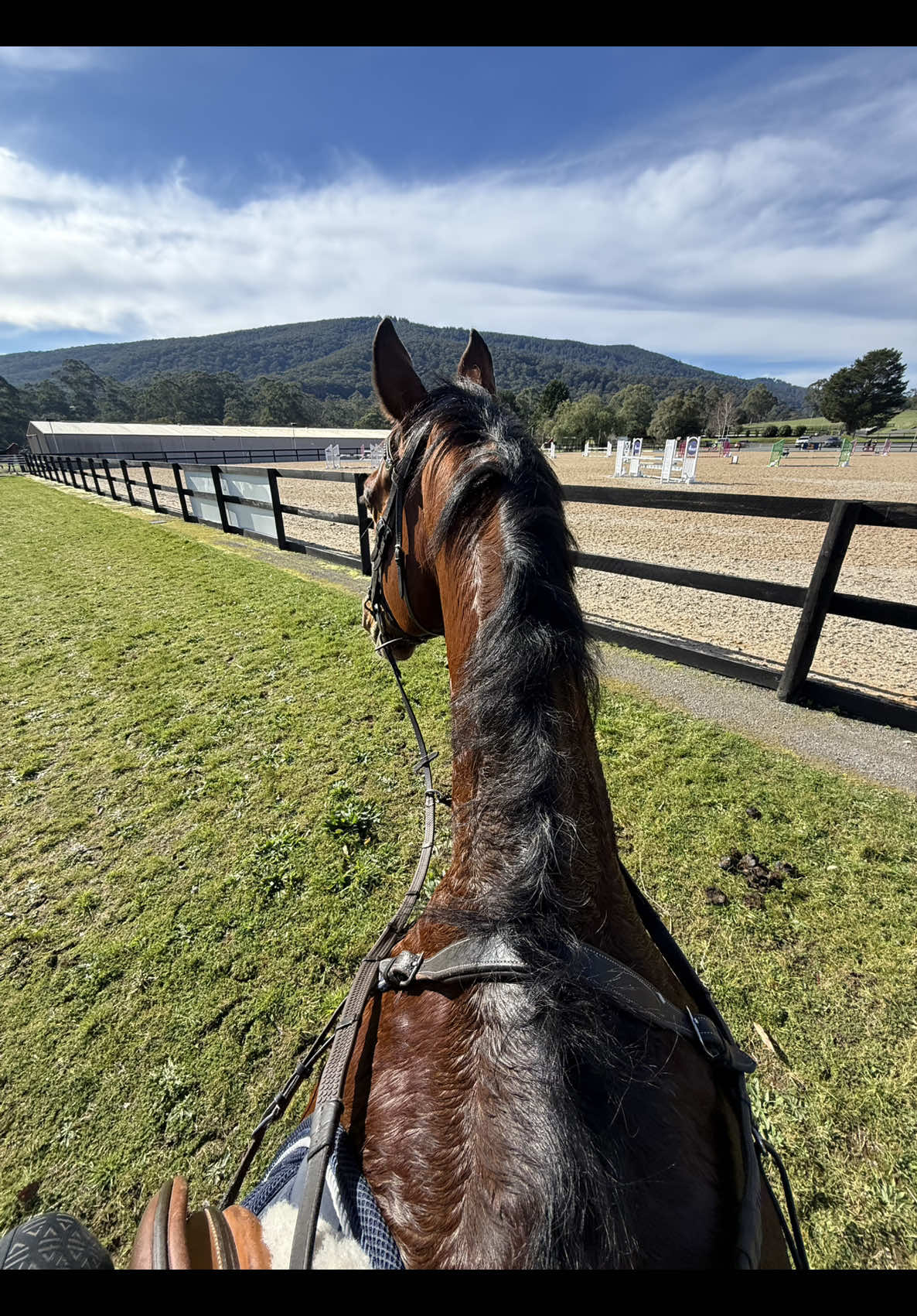 @Imi_.equestrian