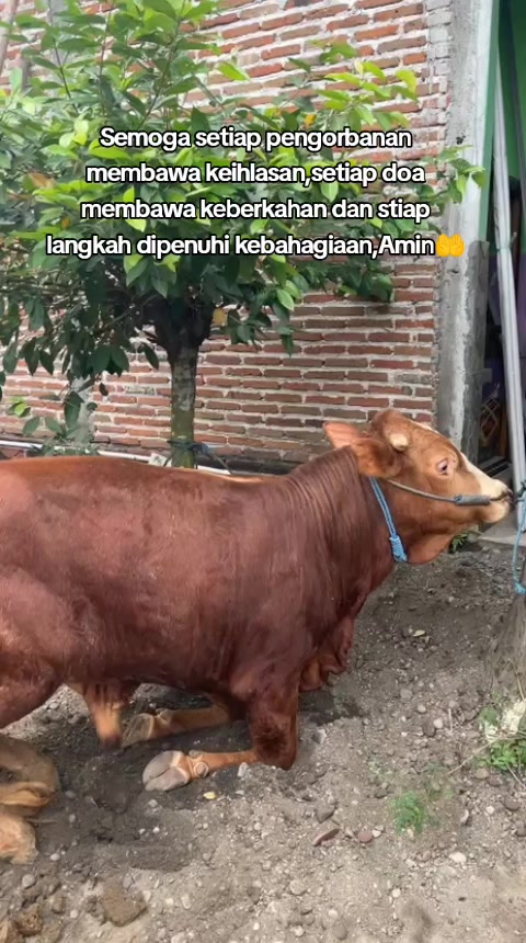 @ER OS erna