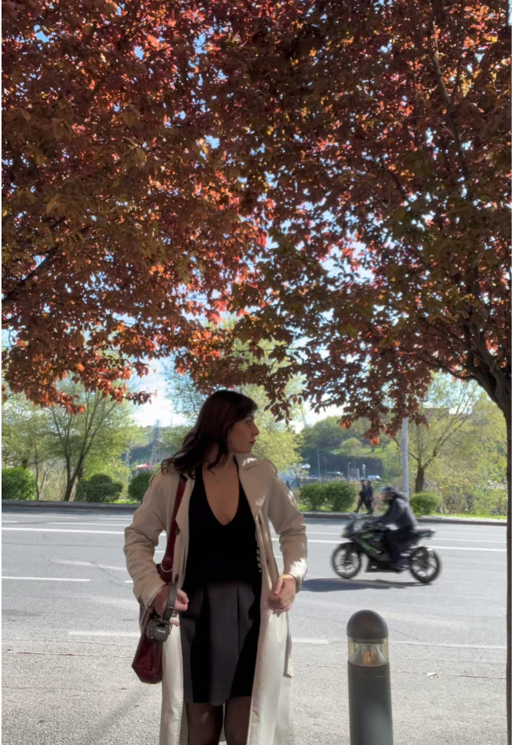@Elidami