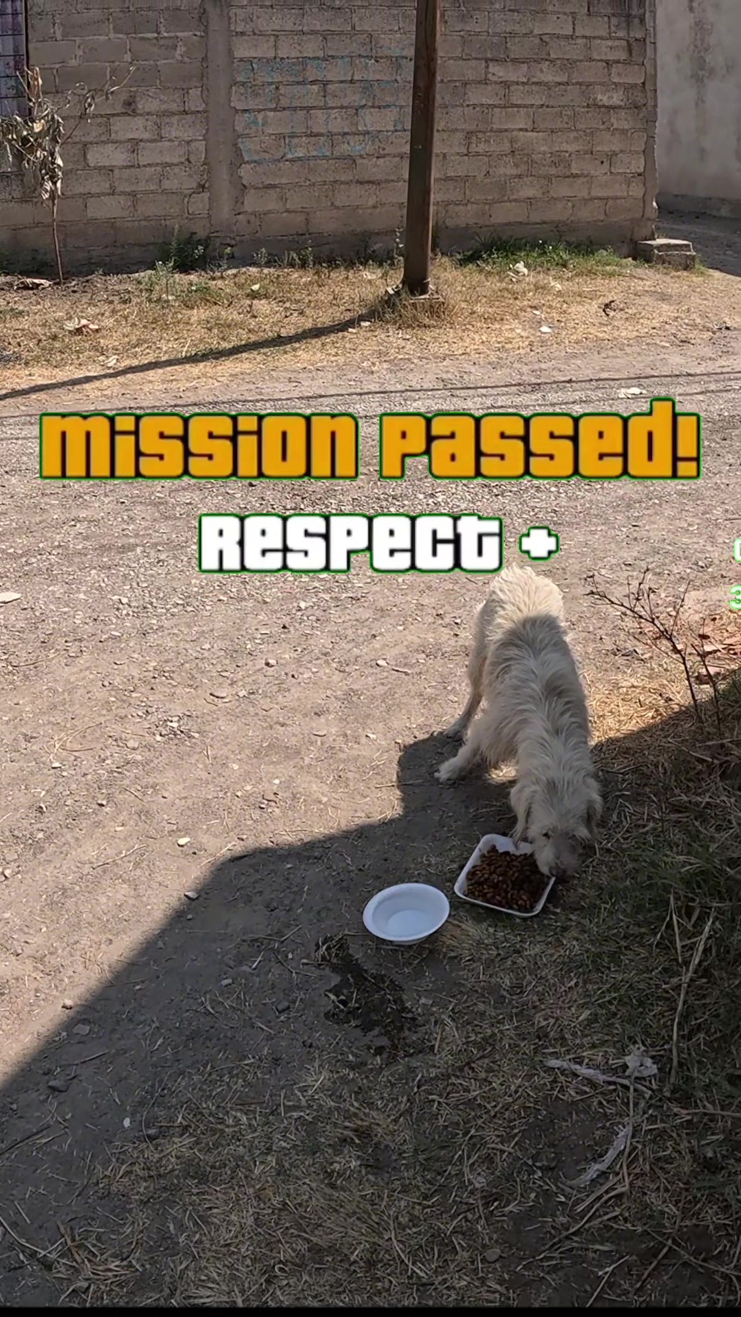 @YT