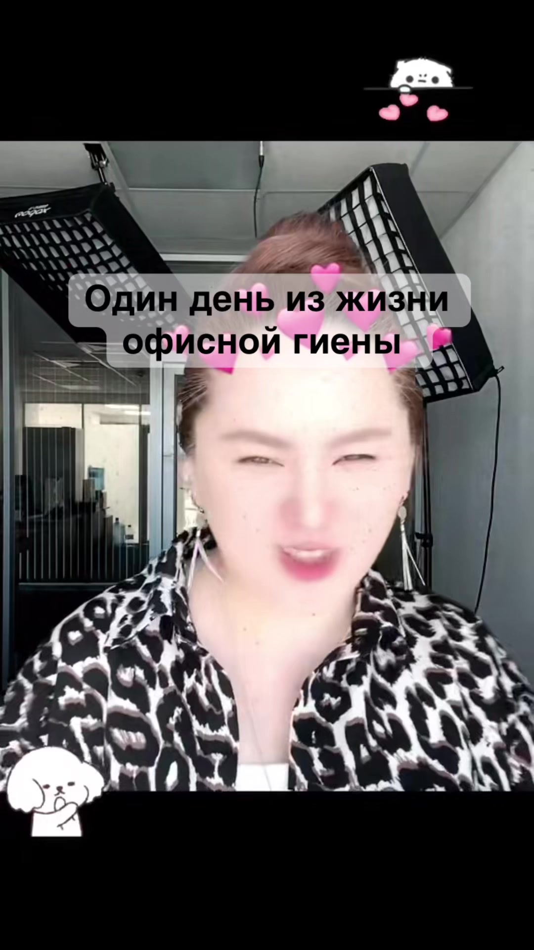 @qaryndas