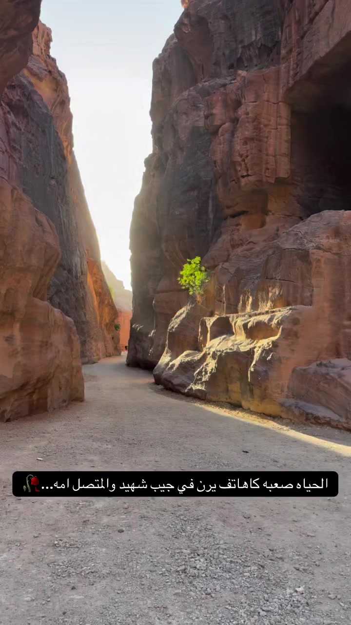 @سعيد نظير العزعزي