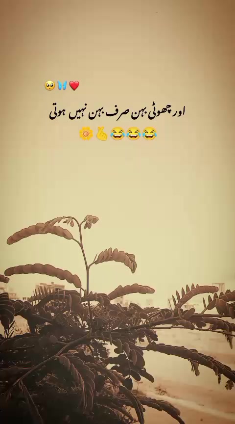 @میرا عشق کزن 🌝