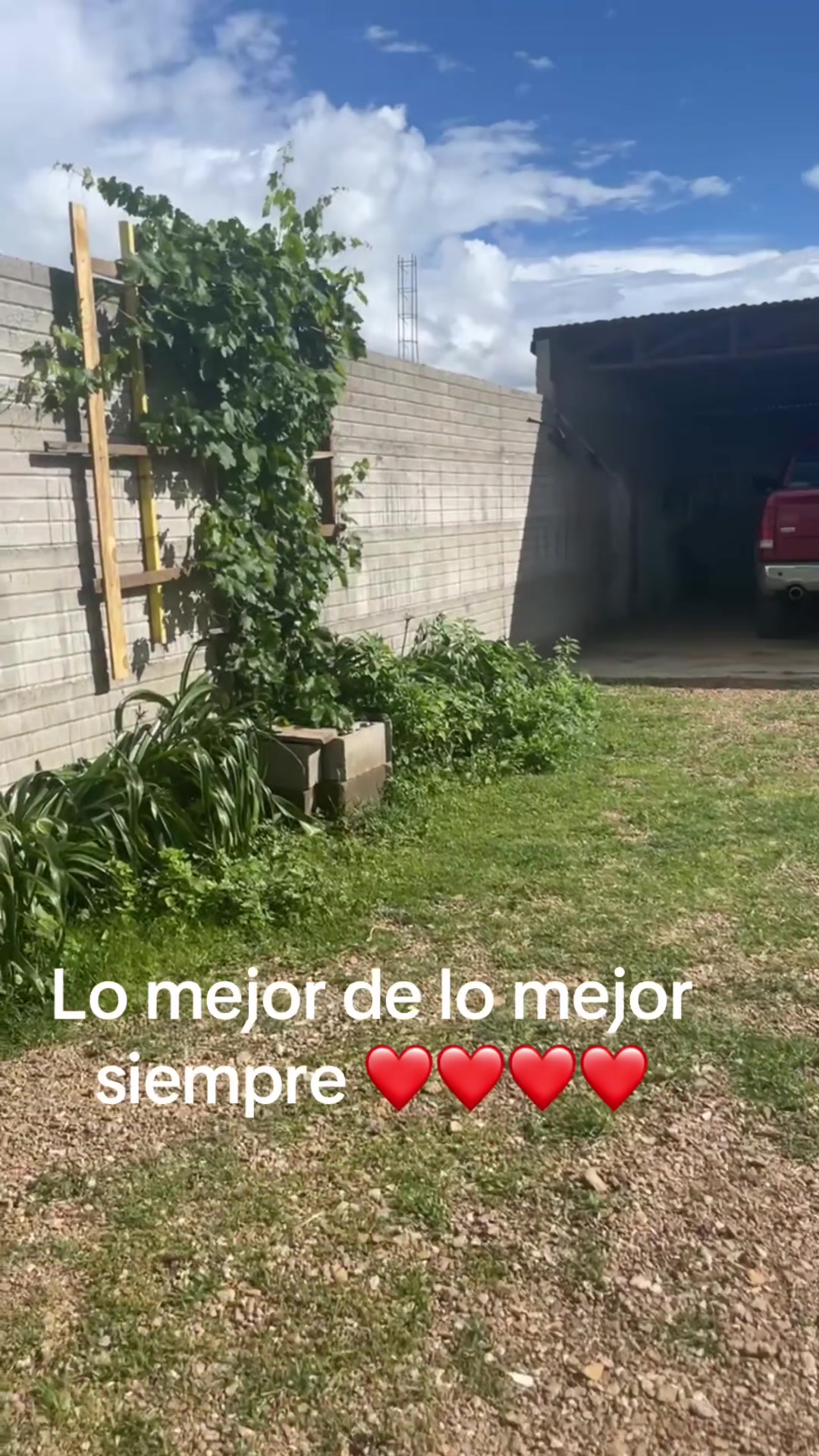 @LULY💋