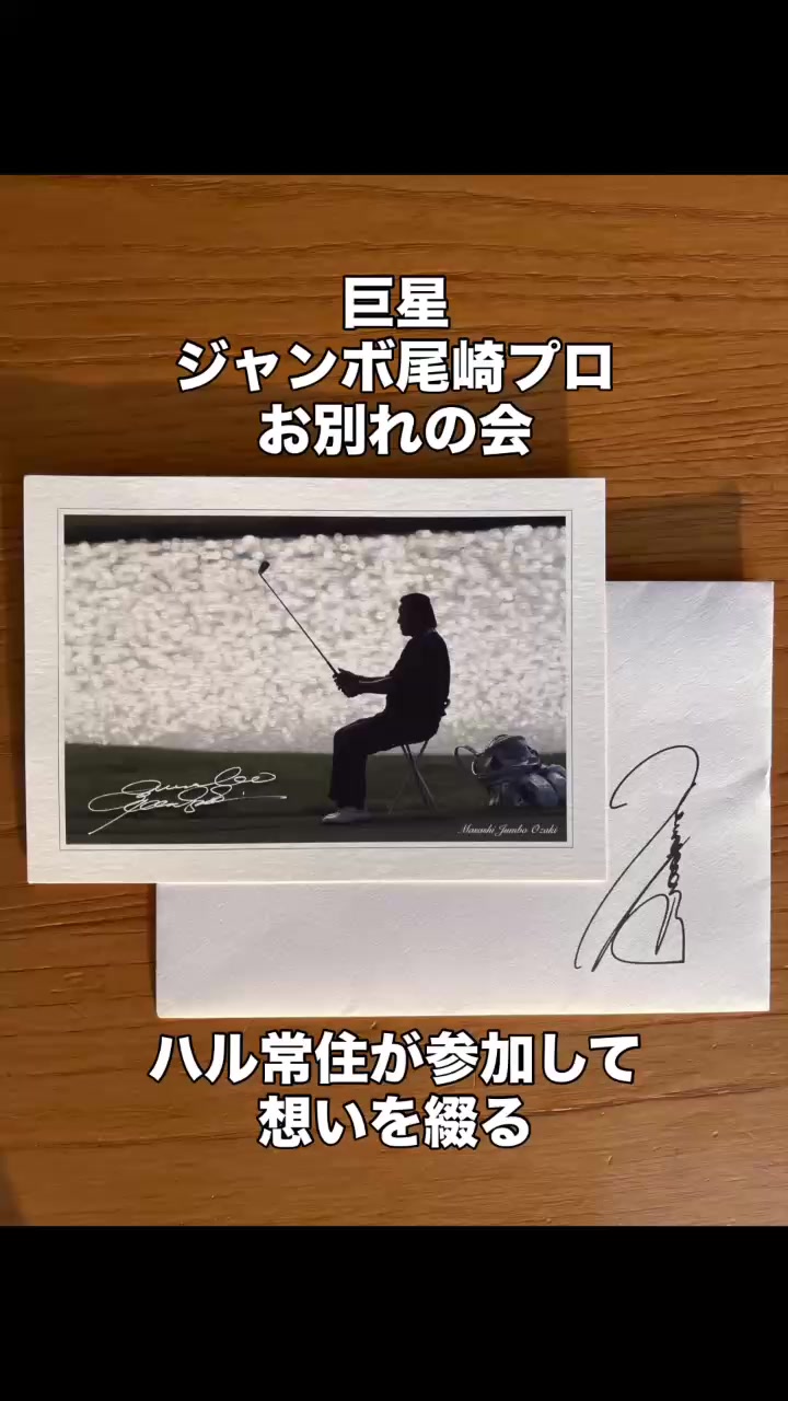 @ハル常住 Hal Tsunezumi