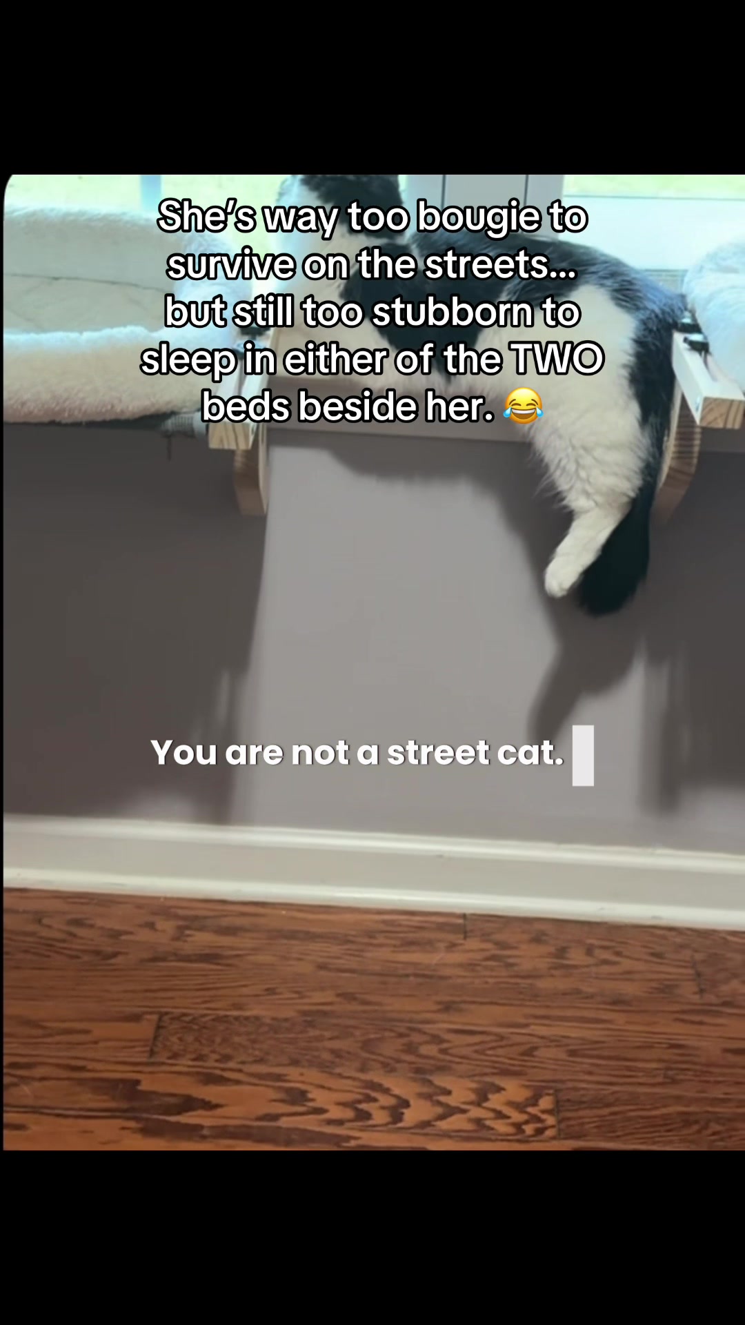 @Debra Merritt Hege