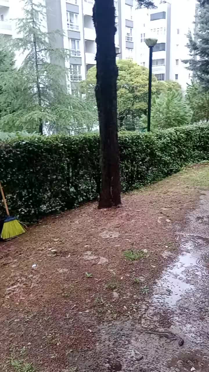 @Ali gül