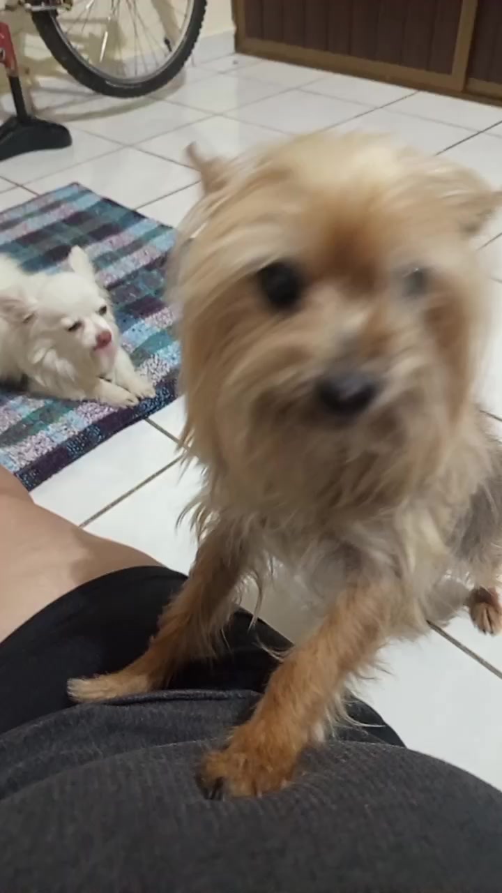 @Cecilia Sinaloa