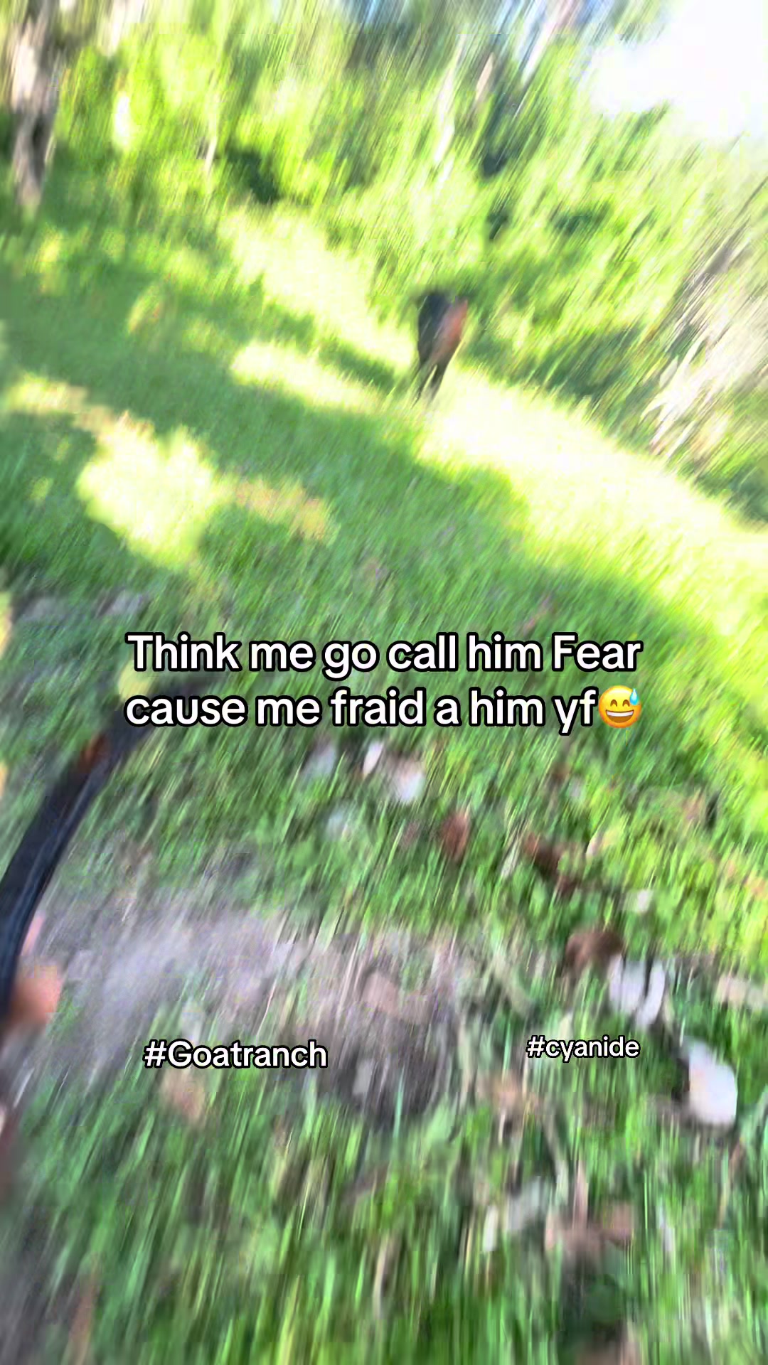 @Goat Ranch