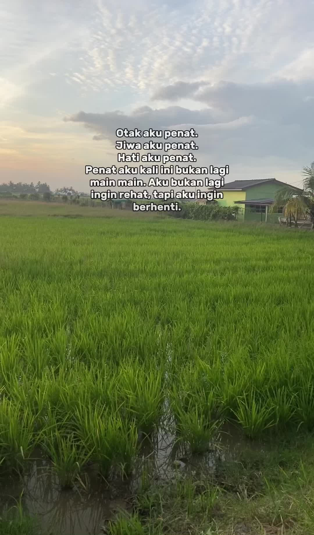 @𝓗𝓪𝔃𝓪 🥀
