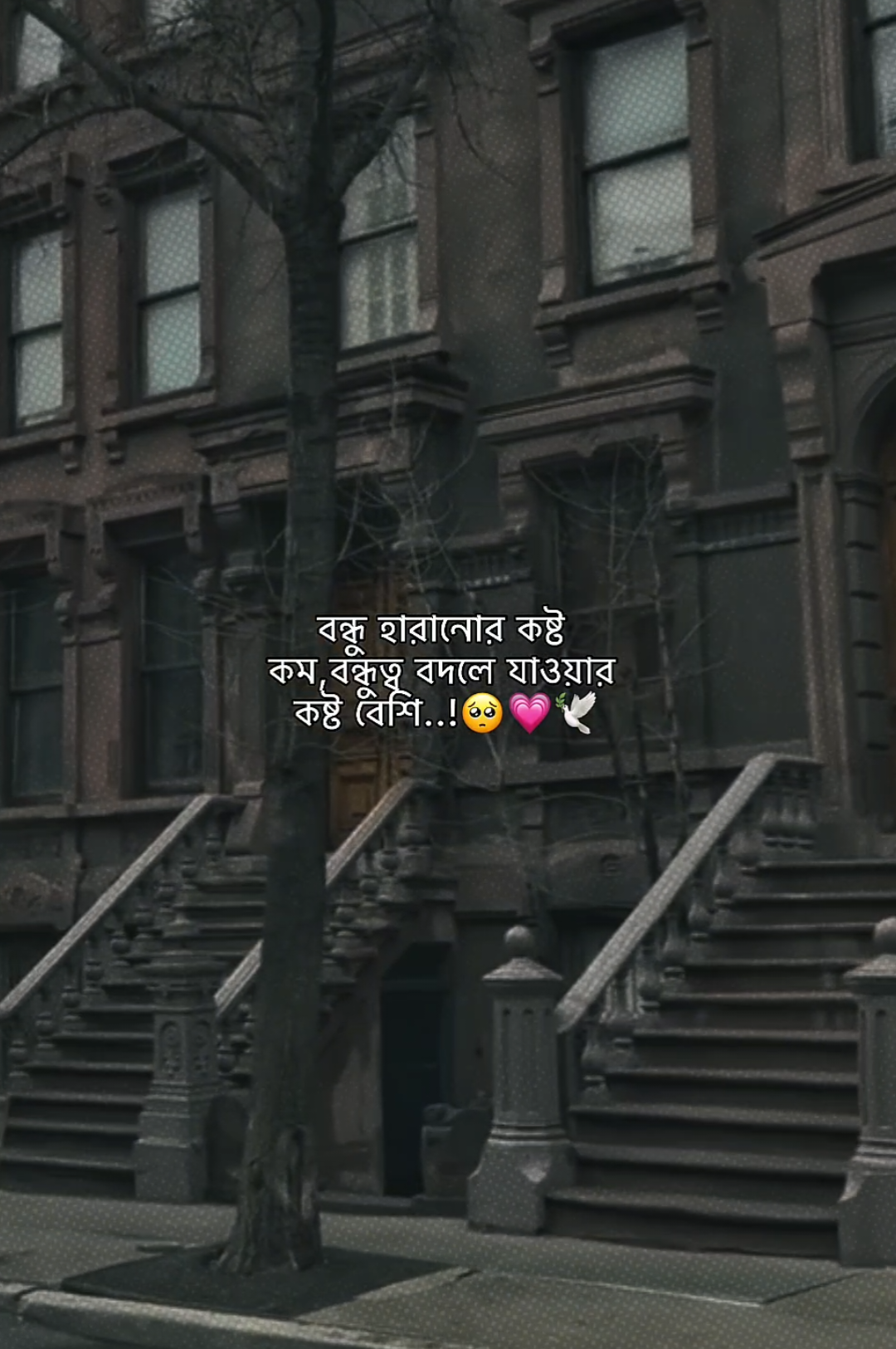 @𝗠𝗮𝘀𝗵𝗮𝗹𝗹𝗮𝗵 𝗔𝗽𝘂'♡︎🌷