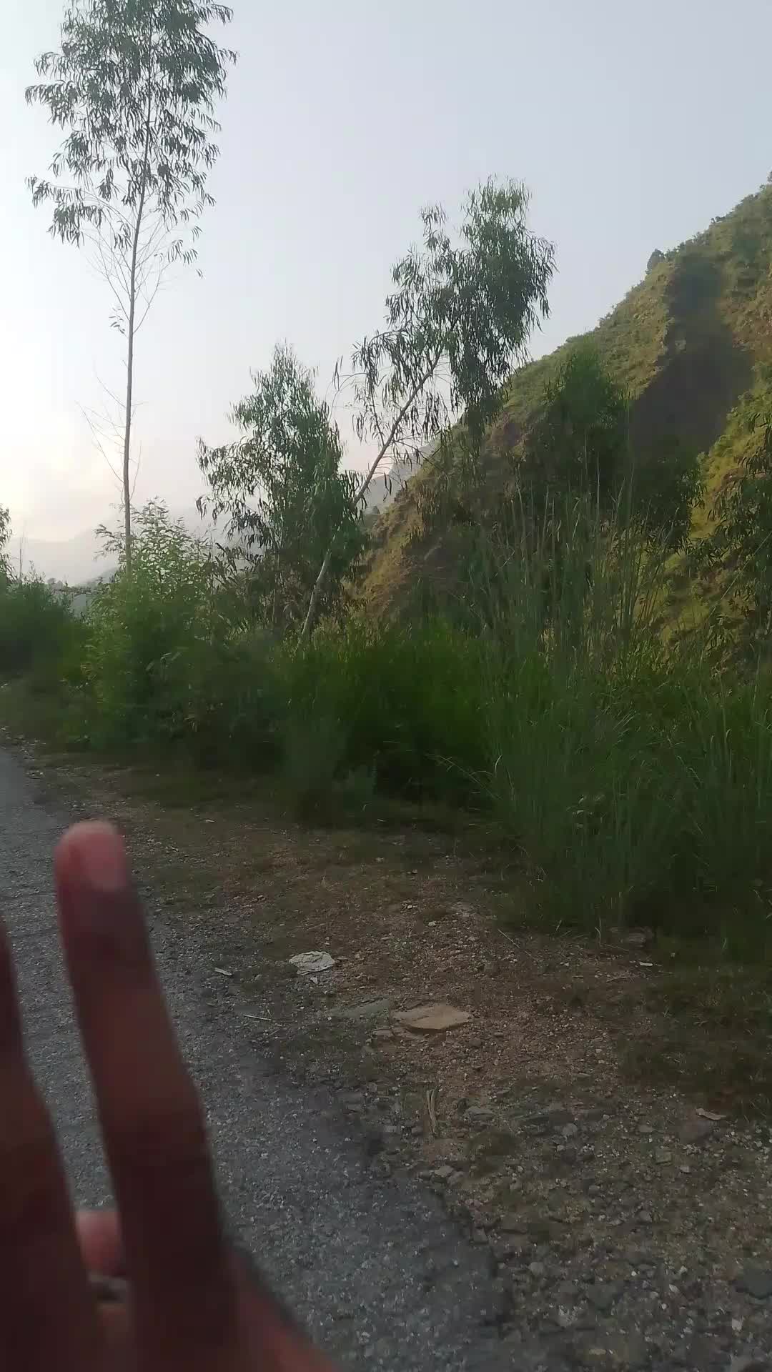 @user801914119
