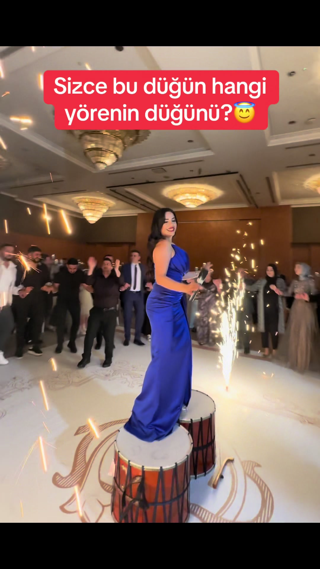 @Aylin Demir Fanları