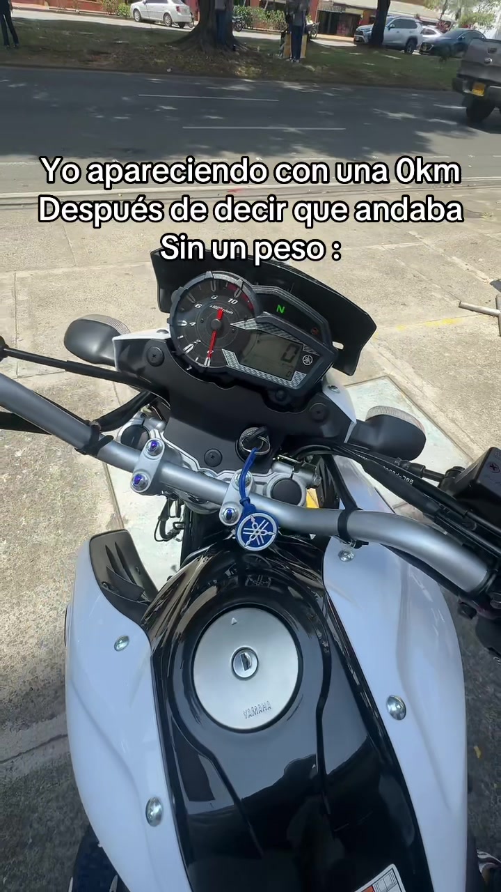 @lauraperaltat