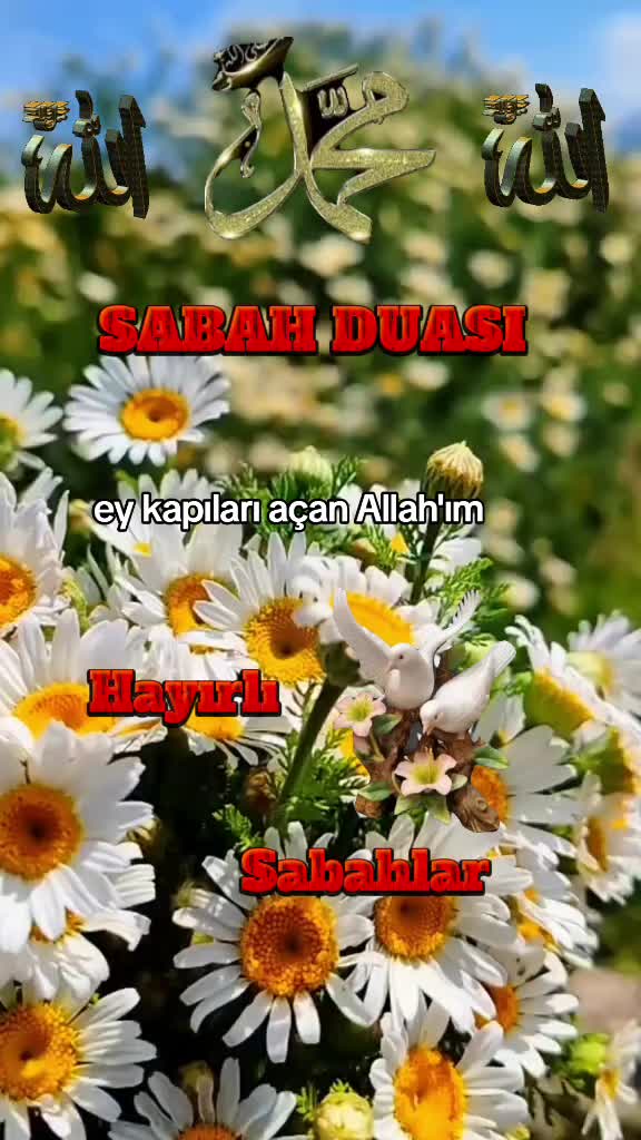 @♡Zəhra♡ Rəhimli♡