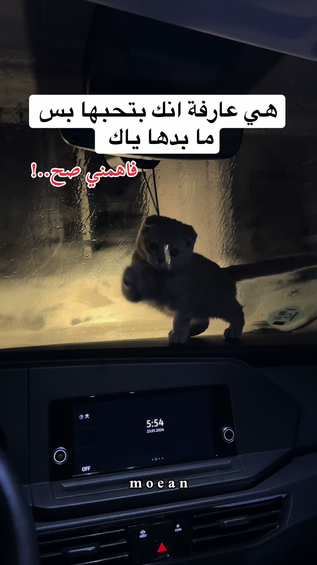 @个MO3EN