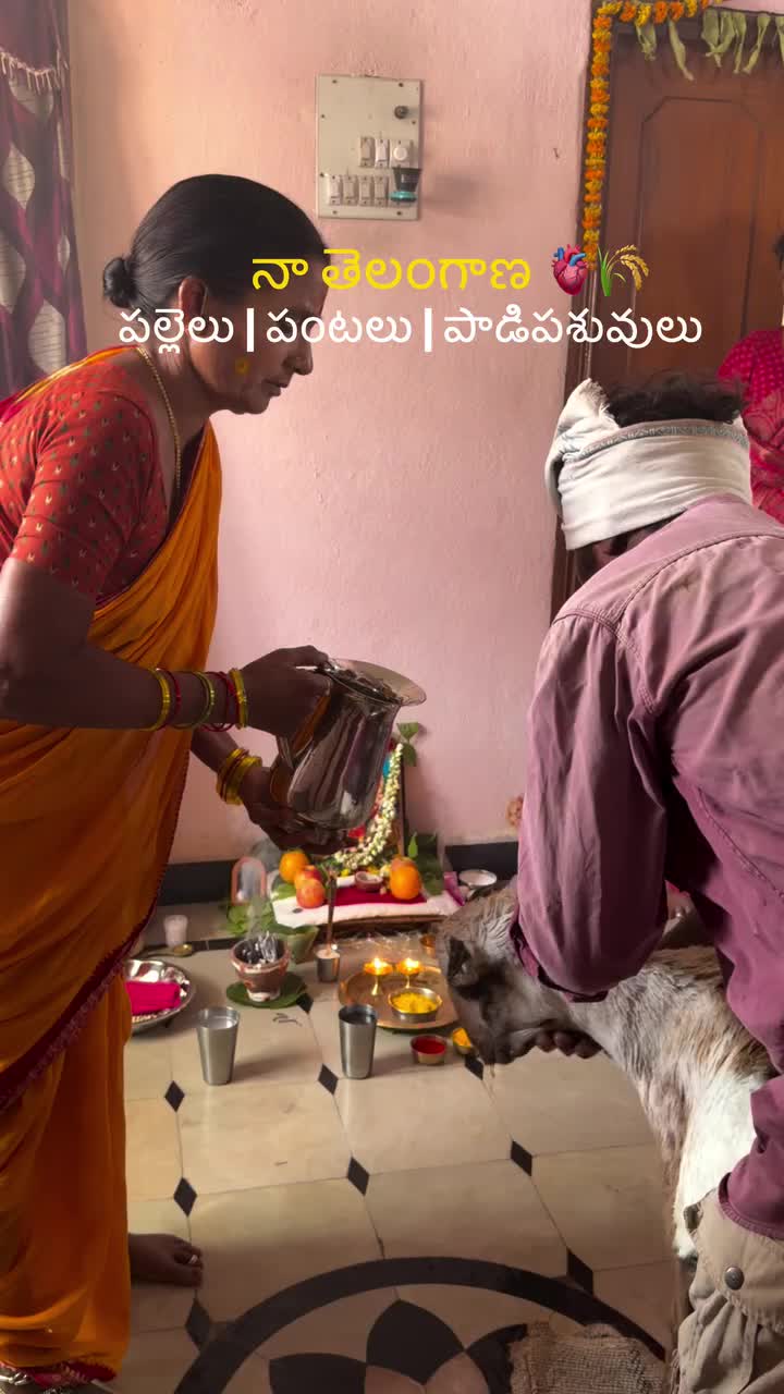 @జనసేన సైన్యం✅srikarbalejanasen