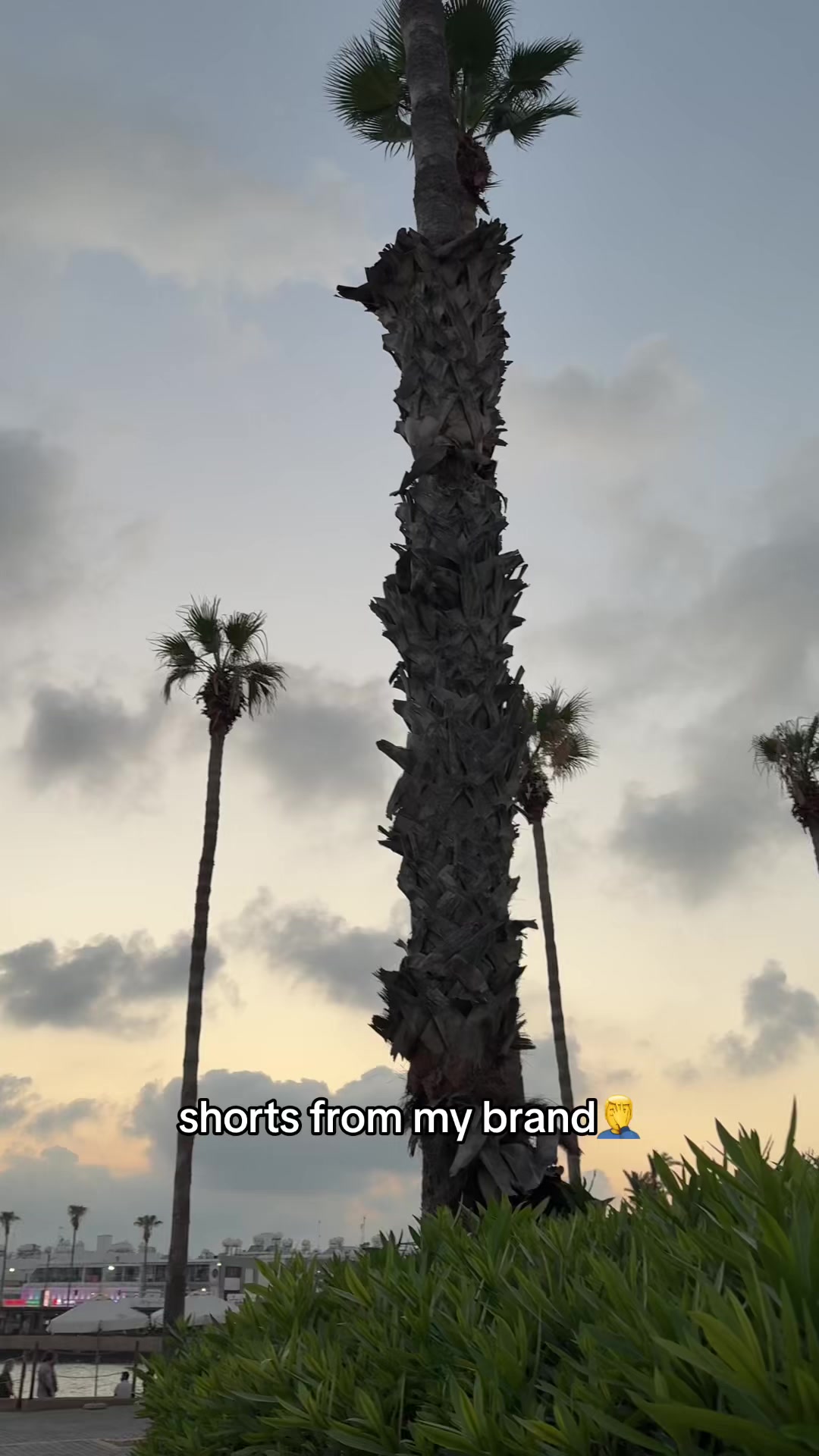 @mazigrr.store