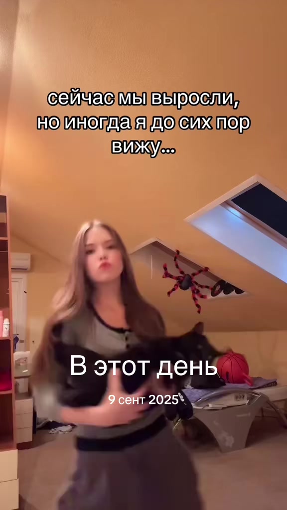 @Alisa sleepy🦇
