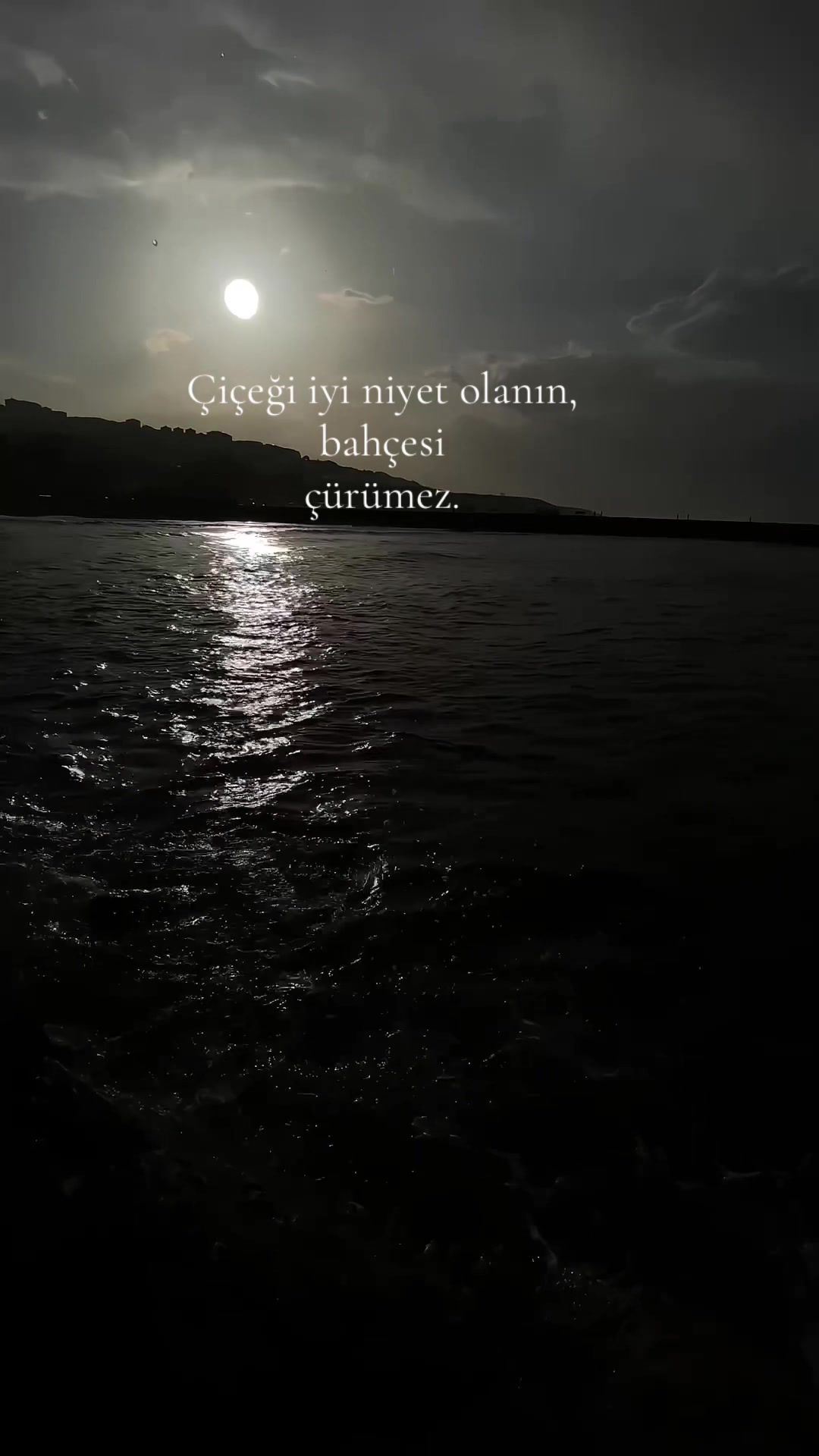 @𝓔 ᥫ᭡ 𝓐