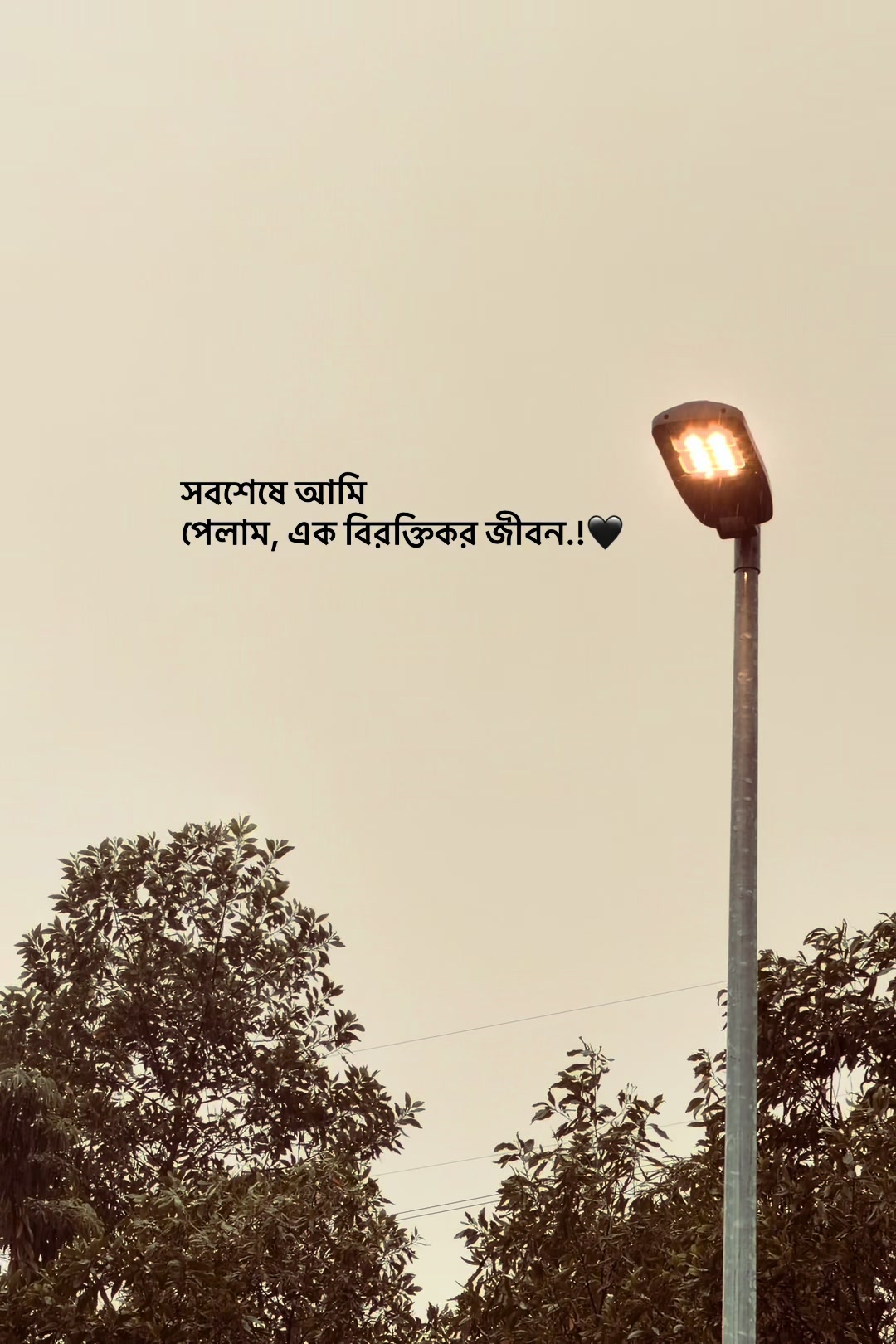 @आईएएन ┊🐥