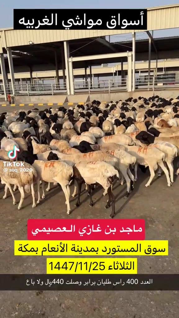 @mohamed_ksa0
