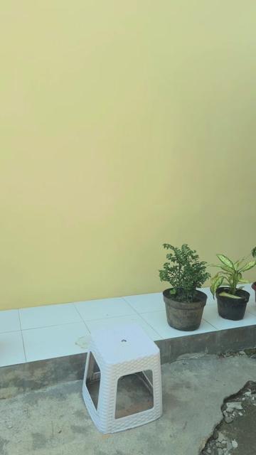 @WarintilOfficial