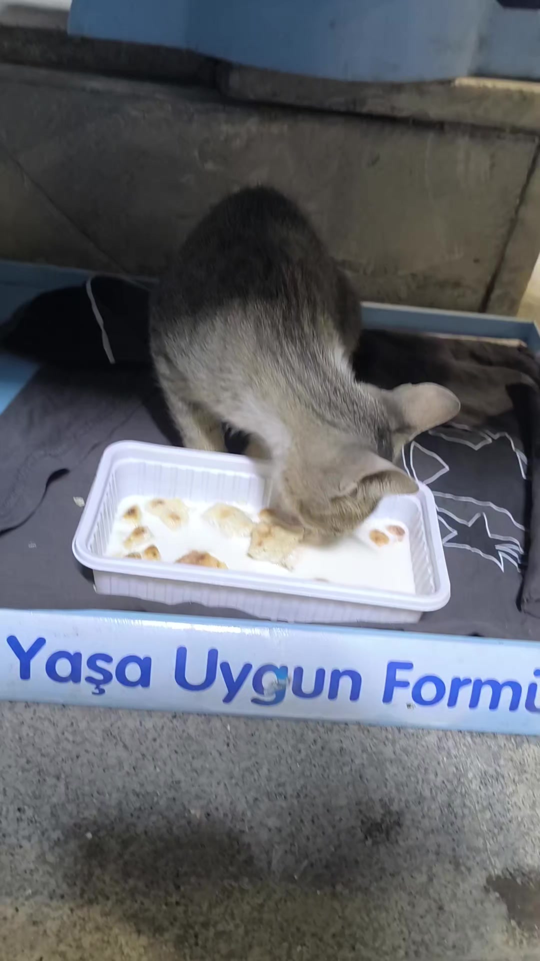 @İbrahim 63,,, 63,