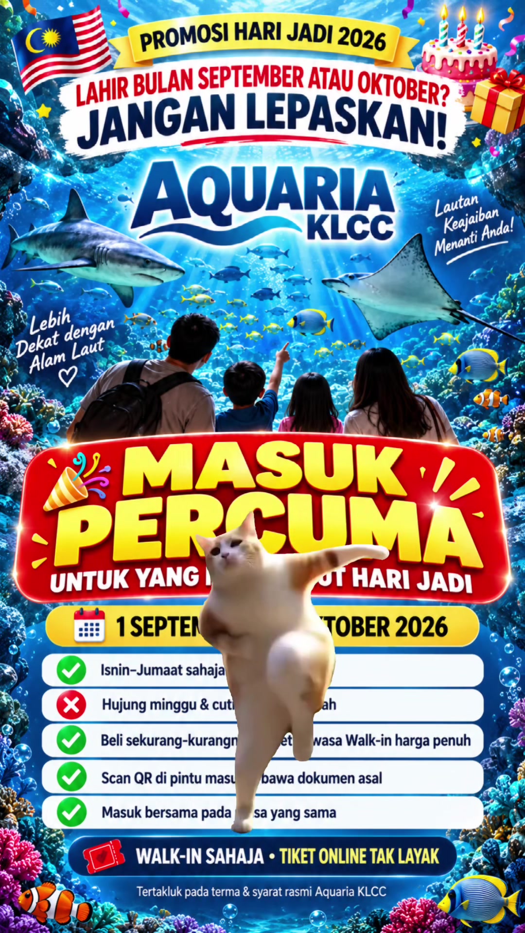 @Suki