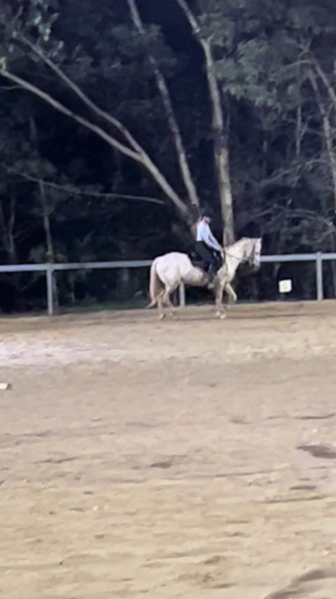 @lili.may_eq