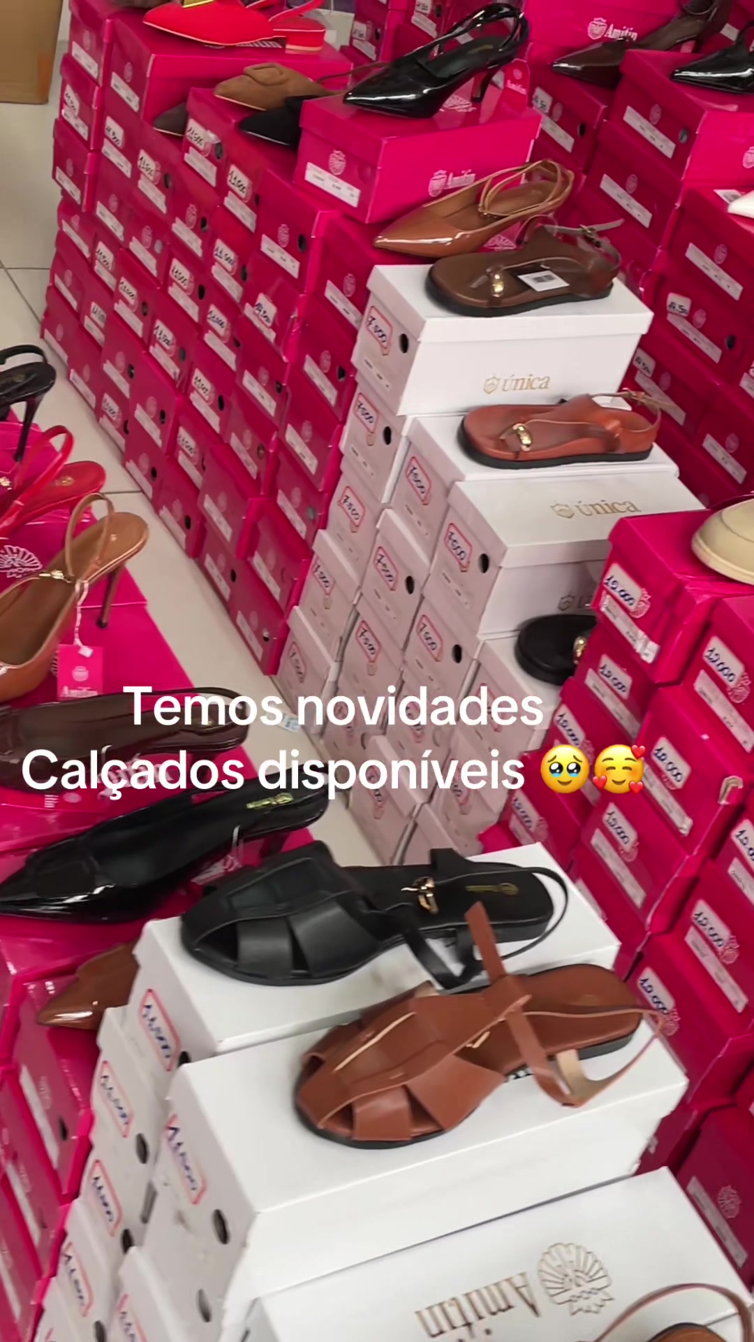 @LILÁS ZANGO