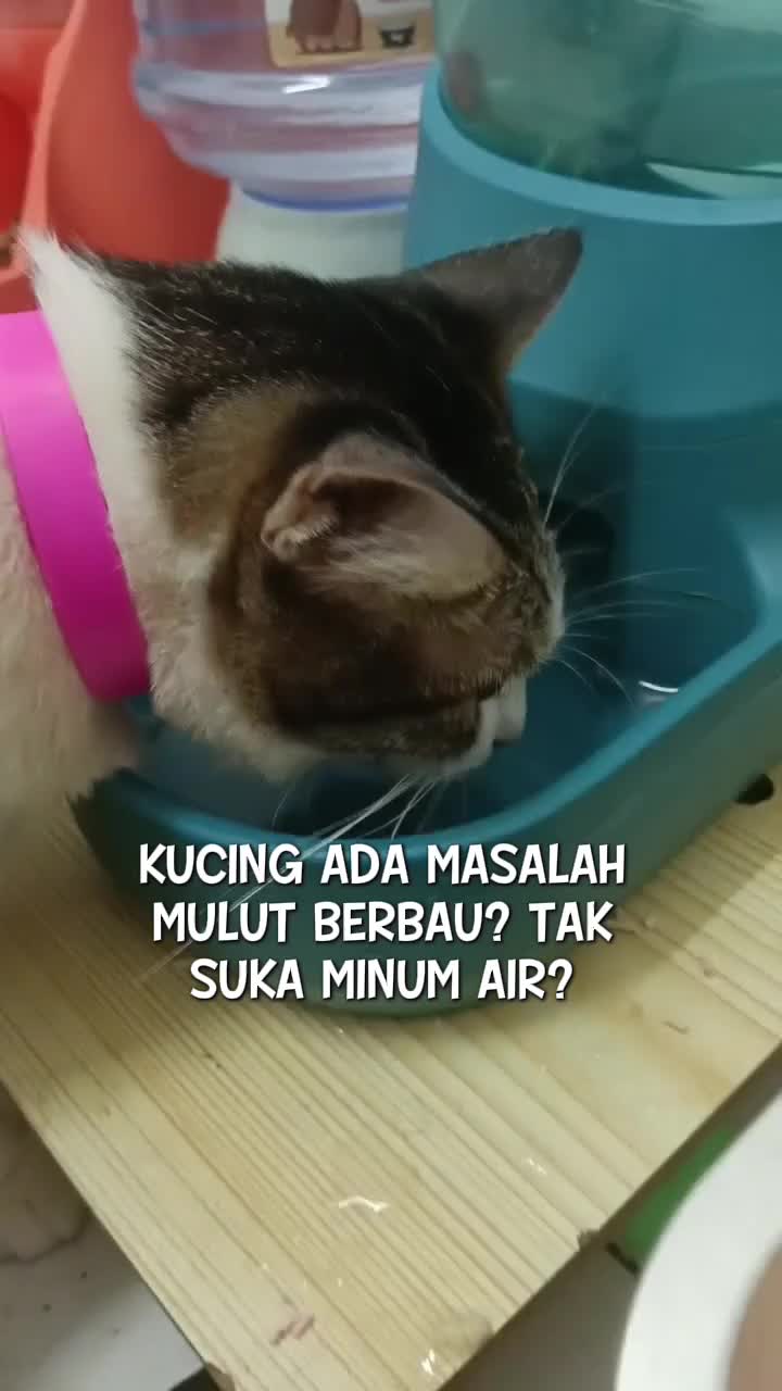 @Norazrena | Racun Tiktok