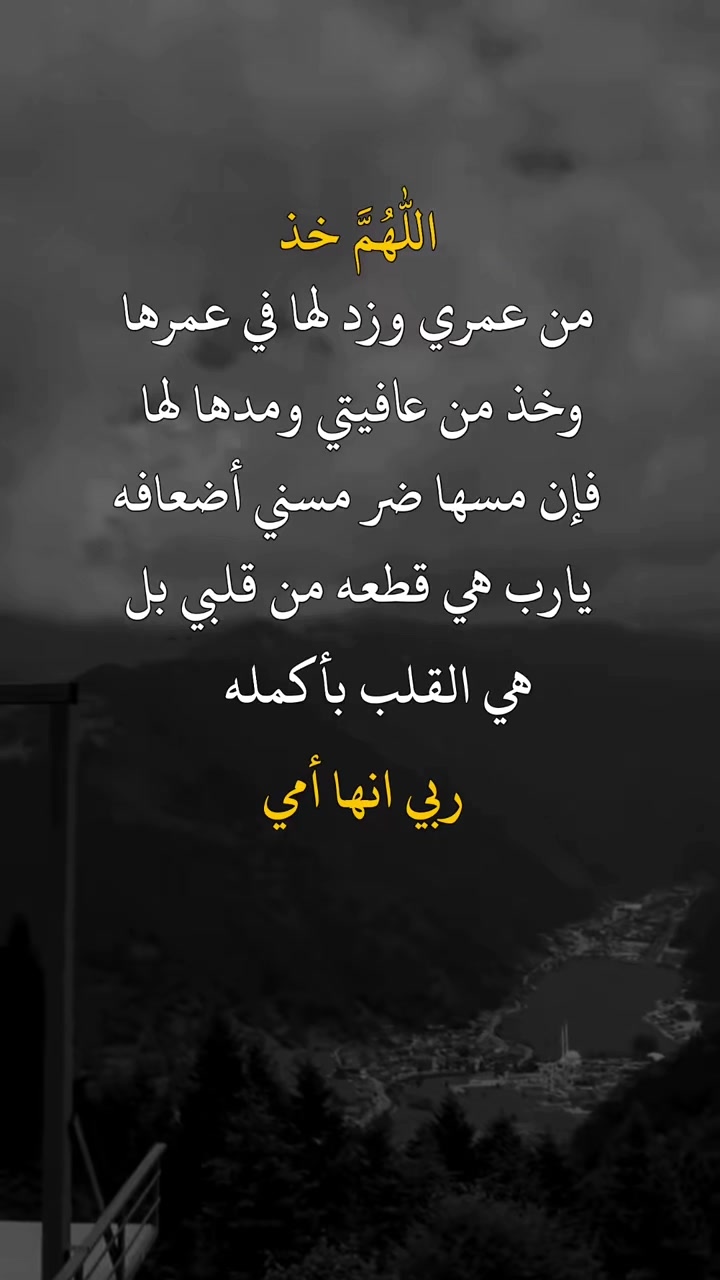 @Mashhour Abdarhman 2