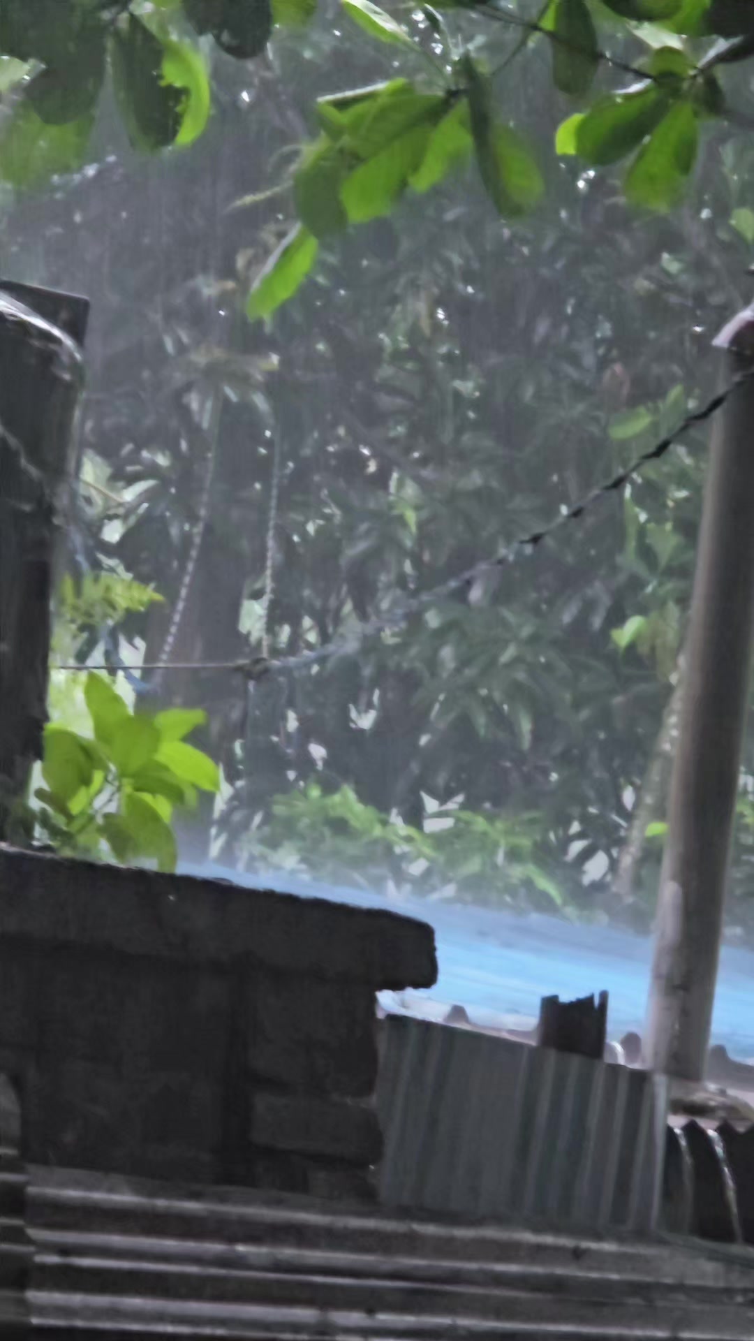 @ফারুক চিটাংগের পুয়া