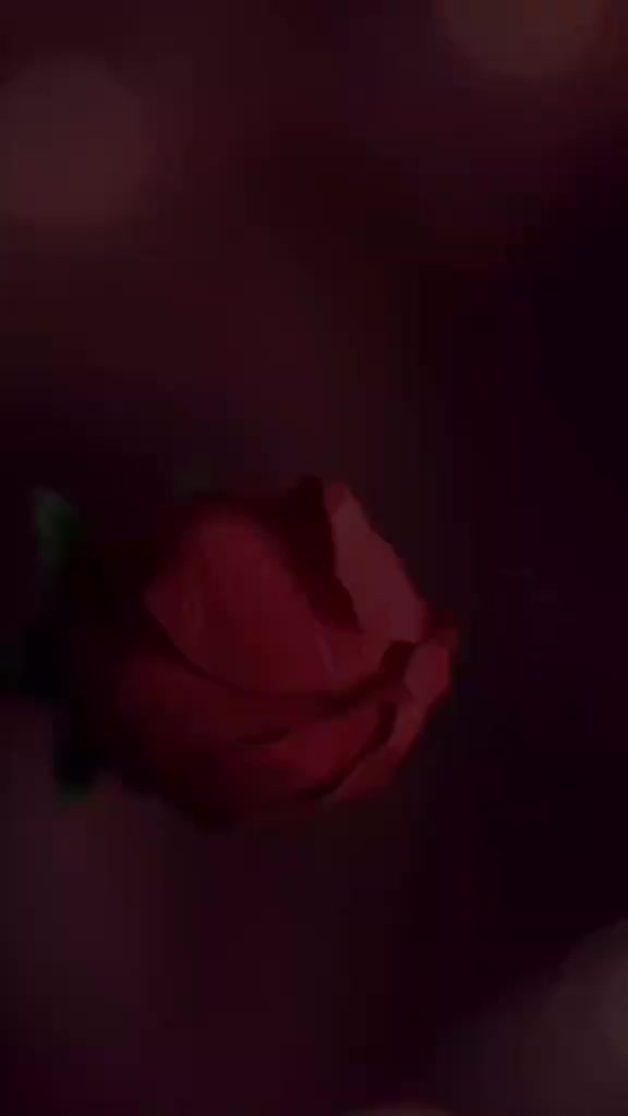 @Mahmudova