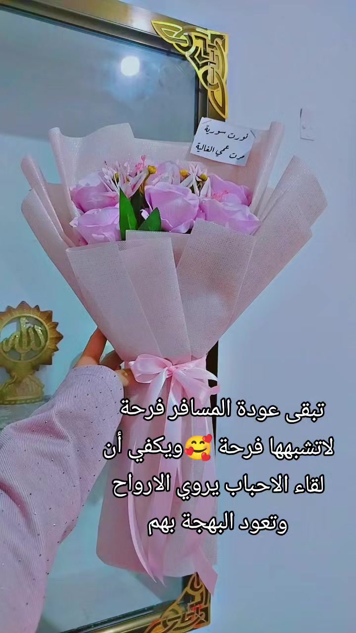 @عبير الورد🍃❤️