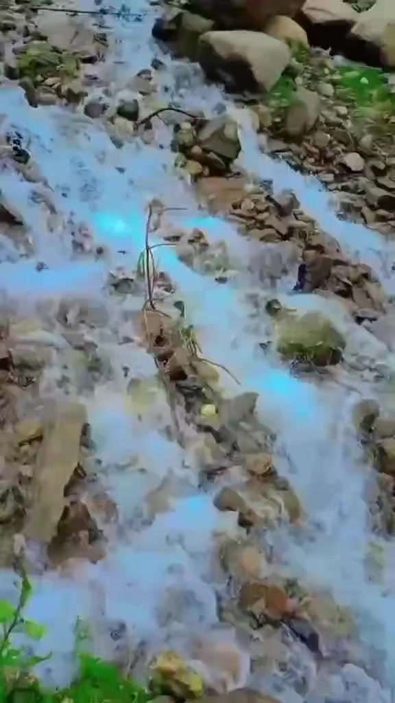 @مخدوم میاں علی عبّاس جبلہ