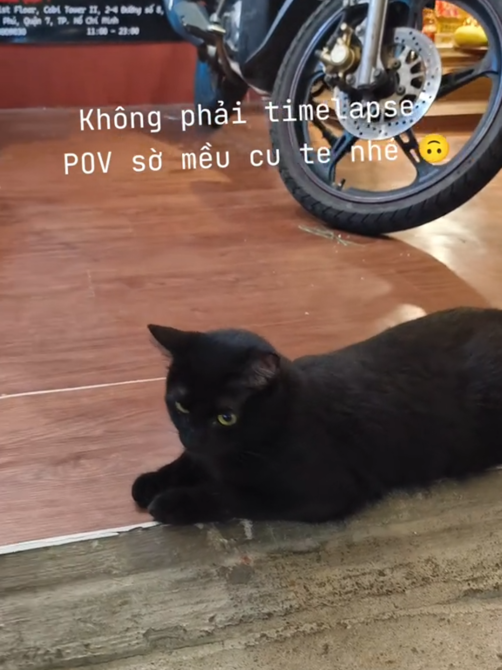 @Nam ghiền timelapse 🗿