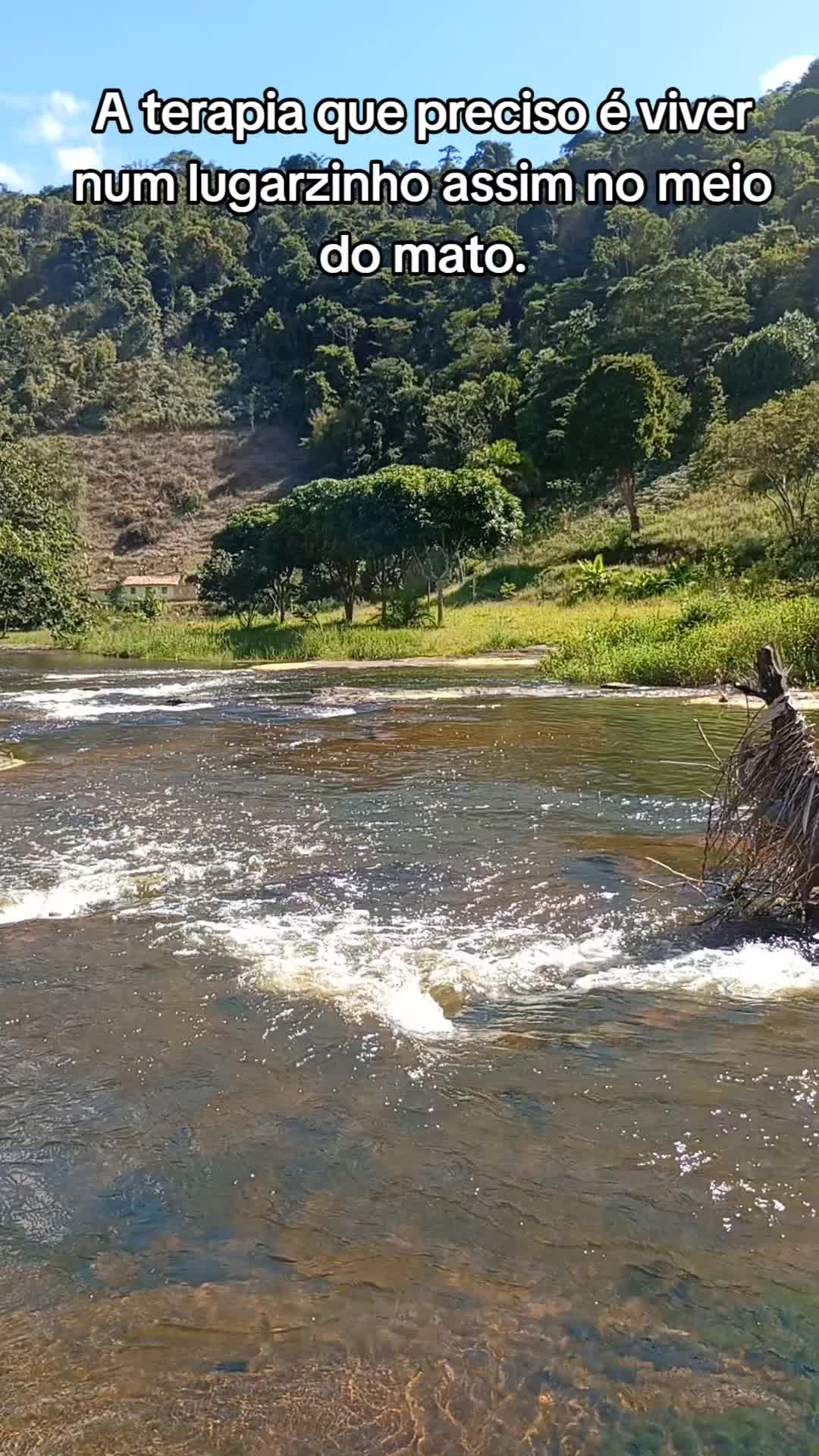 @Roça 🤠🌱