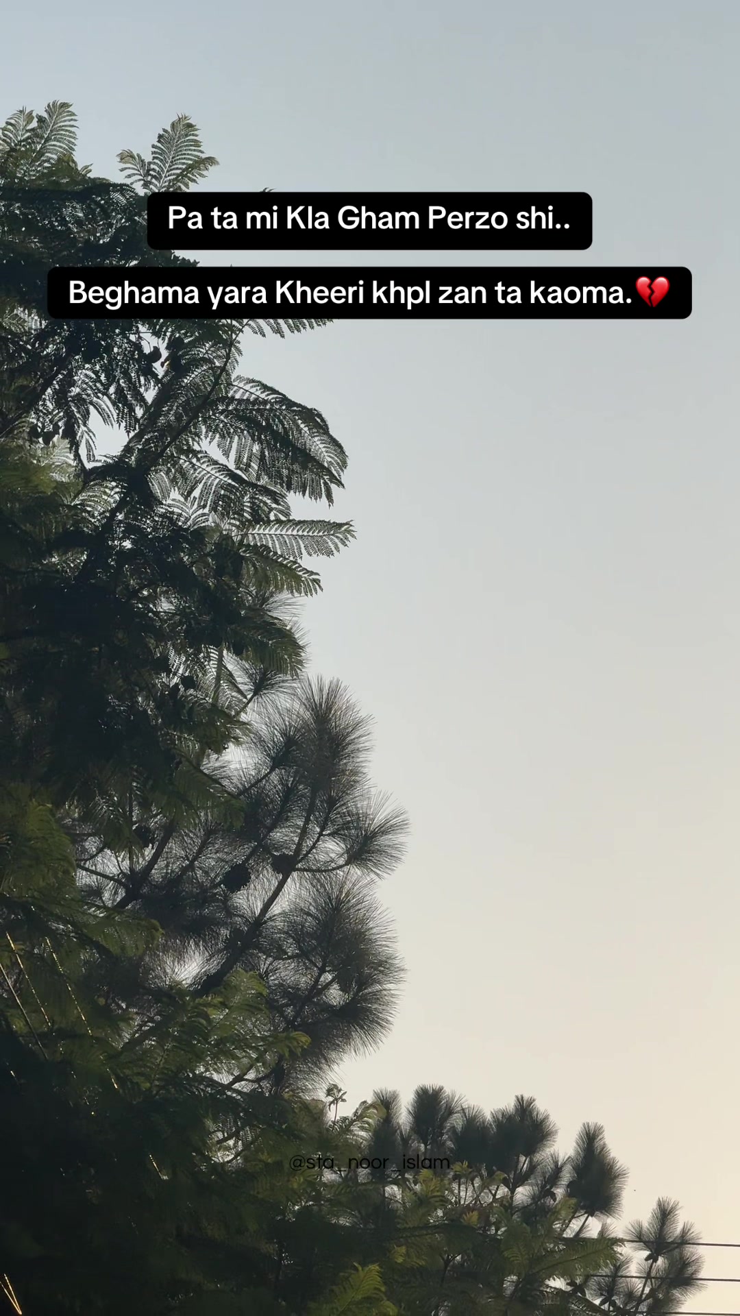 @sta_noor_islam
