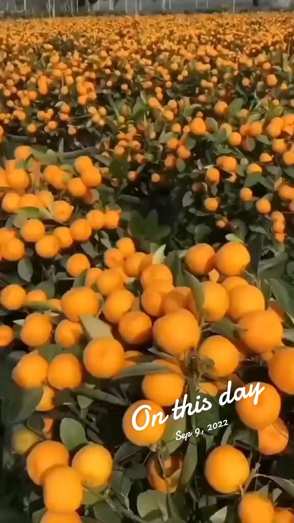 @Zortrax Agriculture Inc