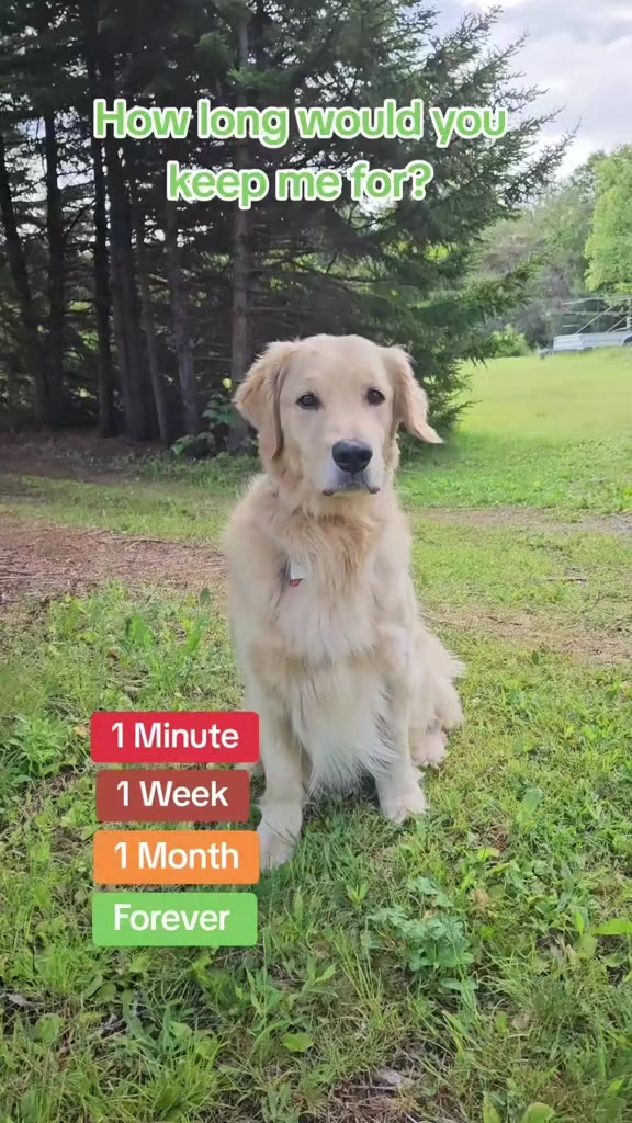 @🐶Griffin
