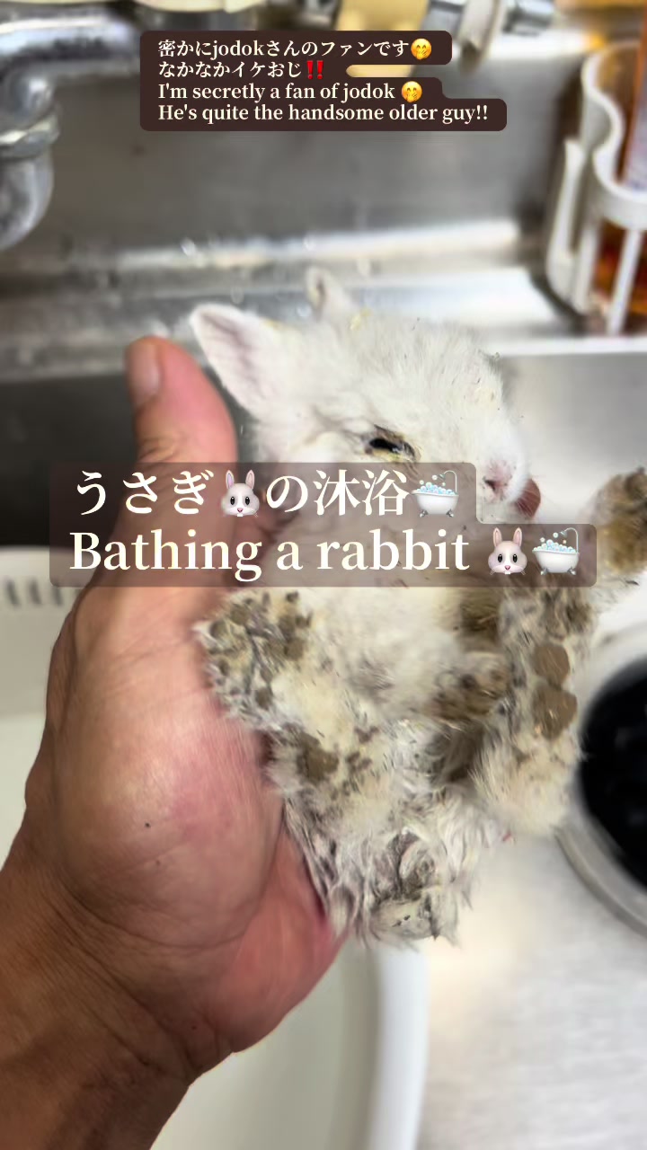 @billion_farm