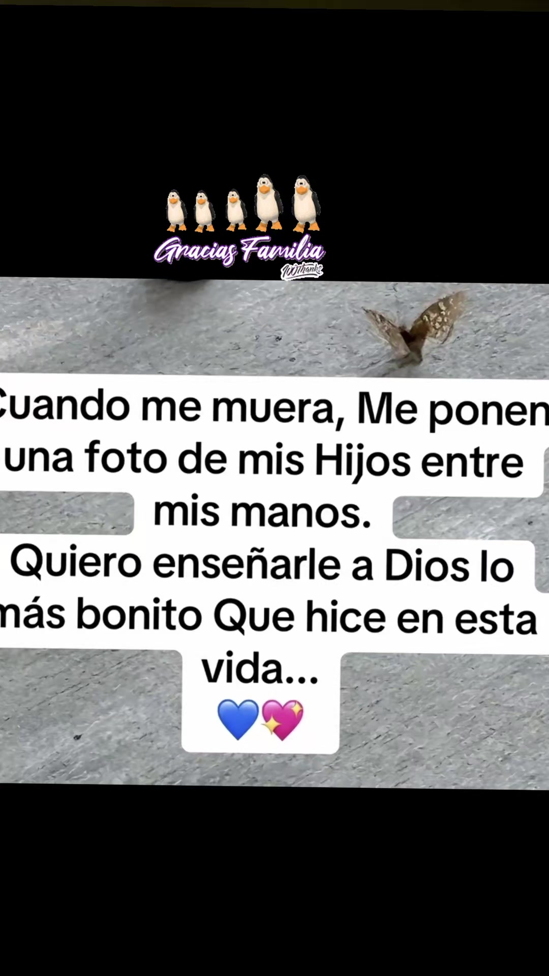 @MAGUZ